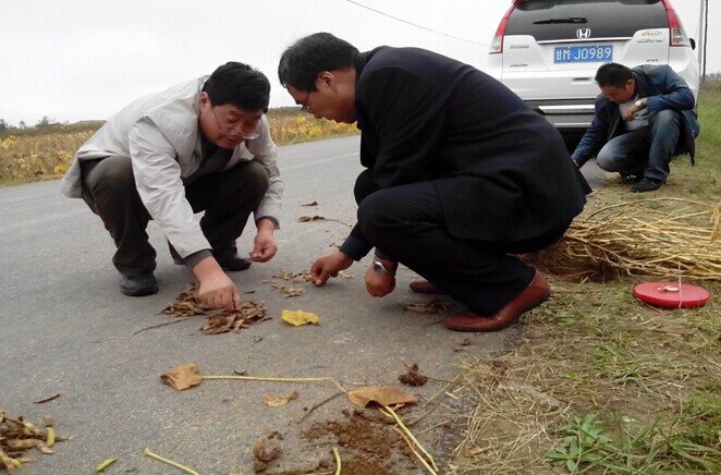 ���໪���ؽ��д󶹸߲�������Ŀ�����