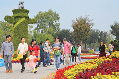 ���գ��ڶ���������ܲ����Ứ���Ĵ� �������