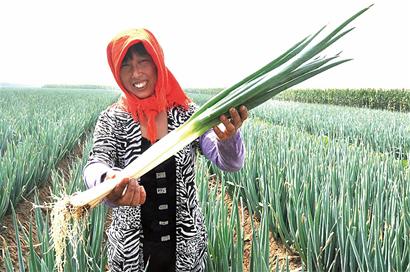 ɽ���ൺ11��Ķ���˴�з��� Ķ������ڴ�������