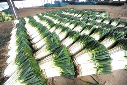 ɽ���ൺ11��Ķ���˴�з��� Ķ������ڴ�������2