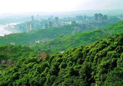 ຣʵʩıߡ̻ 10Ķ̳