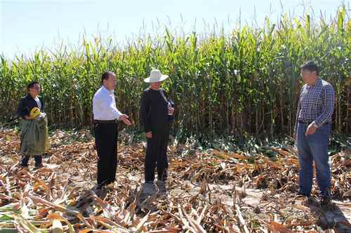 ���ɹ��ٺ������չ�������