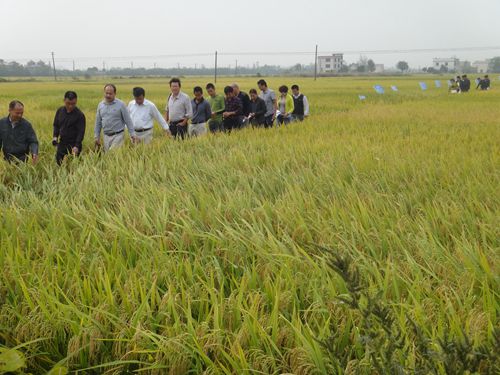 ĦԱһڶƷչʾʾ԰Сѡ֡