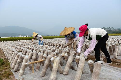 1015գڹƽɻһʳþأȺﰲž