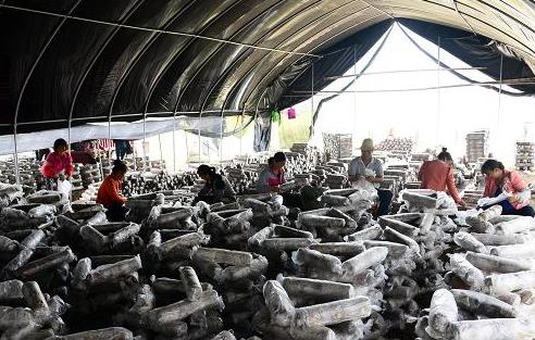 1015գڹƽɻһʳþأȺ