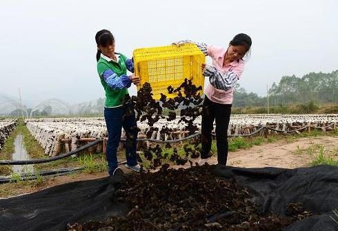 1015գڹƽɻһʳþأȺɹľ