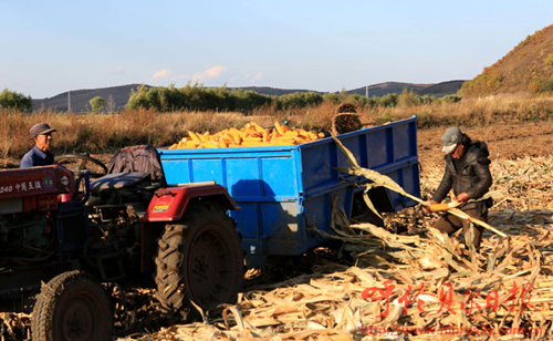 ���ɹ�Ī����ʳ������ʮ��������