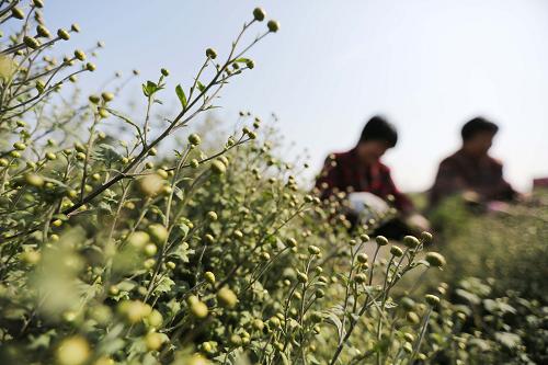 �������������Ʈ��