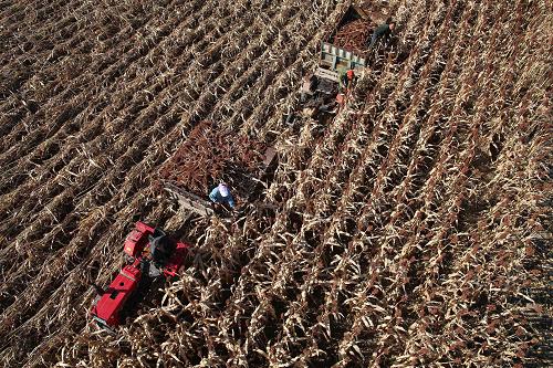 ������̩������Ƹ���������