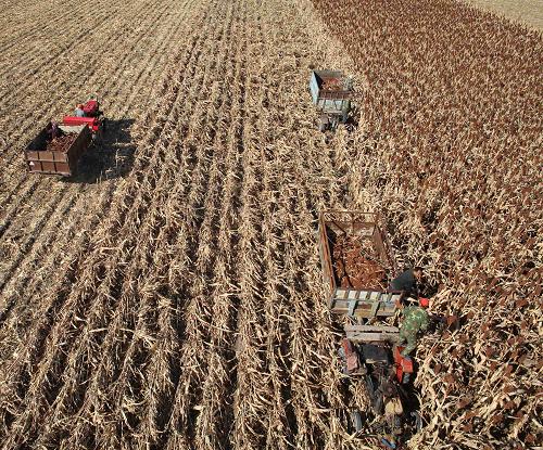 ������̩������Ƹ���������2