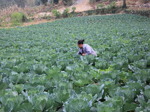 ������¡�����Խ�����������������Ĺؼ�ʱ��