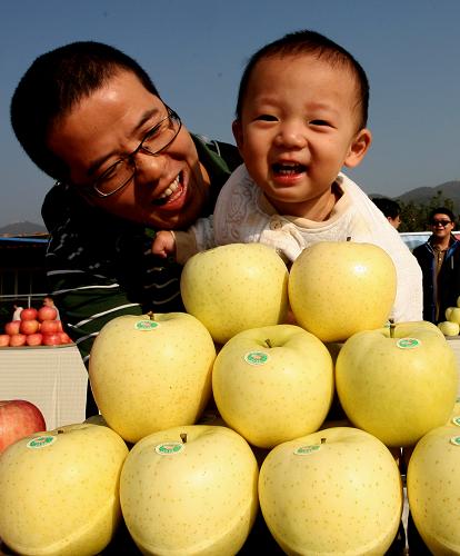 1018գһλοʹźӲι۲ƽƻڵƻչʾ