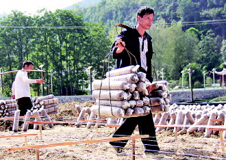 ݵ½ʳþҵʽ չ1000ľ