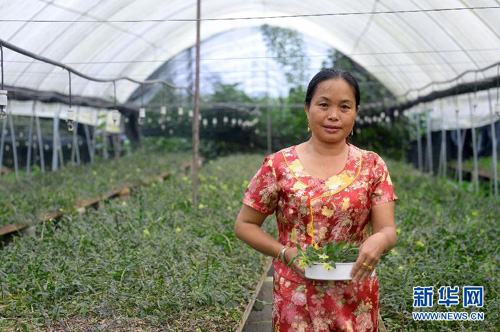 ʡֲڣ嵳֧񺱱һиղպõʯ1013㣩