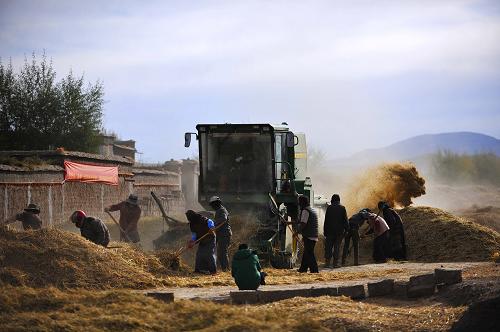 �����տ����У��������