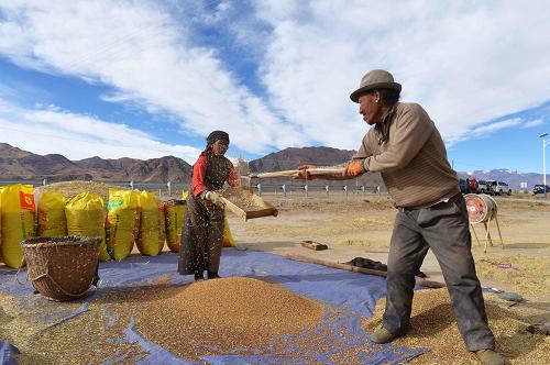 �����տ����У��������2