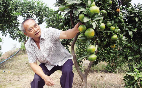 �������������ĸ���ϲӭ����