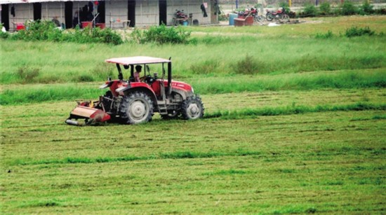 ������Ұ����æ