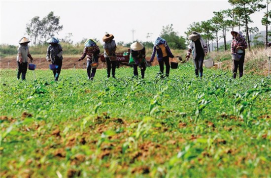 ������Ұ����æ2