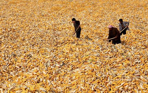 ���������֡��ӱ�������Ŀ��ӭ�����ײ��ռ�