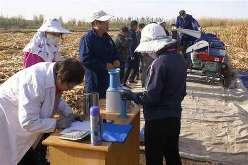 ���ɹ��������������ϲ��ר�����������׶��н���������������ʵ�ز��