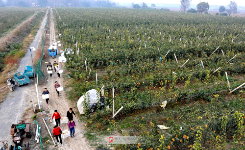 ���ո����������������