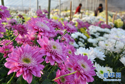 ɽ����Դ�أ�����ջ� ��Ʈ����