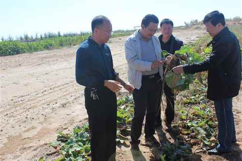 ���ɹ�����ش���ȫ����ɫ(ެ��)��׼����������ͨ������