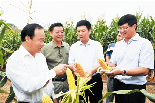 �������������Ϲ���վվ����ʿ�������ר�ҽ������ײ����䷽ʩ�ʼ�����