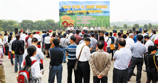 �����조���ѡ�ʣ�������Ǯ��˫�������Ļʽʢ����