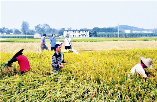 ũҵ������ɵ�ר���Ŷ�ˮ�����в����ˮ��ƽ��Ķ���ﵽ676���