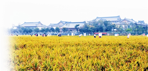 27������Ʒ�ּ���ֲ������30��Ķ��������С����ޱ��䡱����ʳ����ϲ����ա�