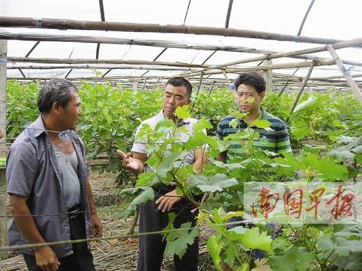 �����ƻ������ѵ1.5��������ְҵũ��