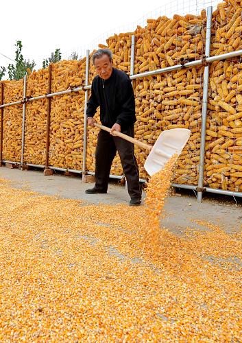 1023գںӱʡƤһʳչվũɹס