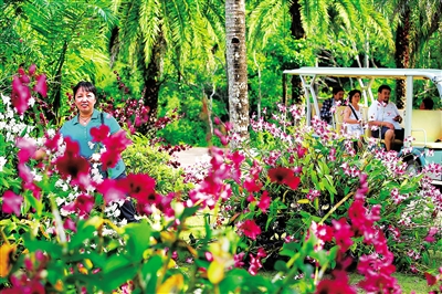 海南万宁:三千多种植物醉游人