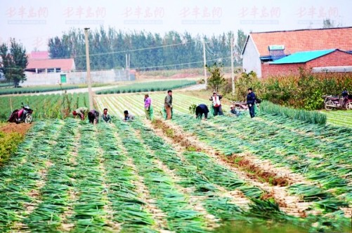 ƽȹĴҲջ񣬲ҲȽϸߣչƫ͡