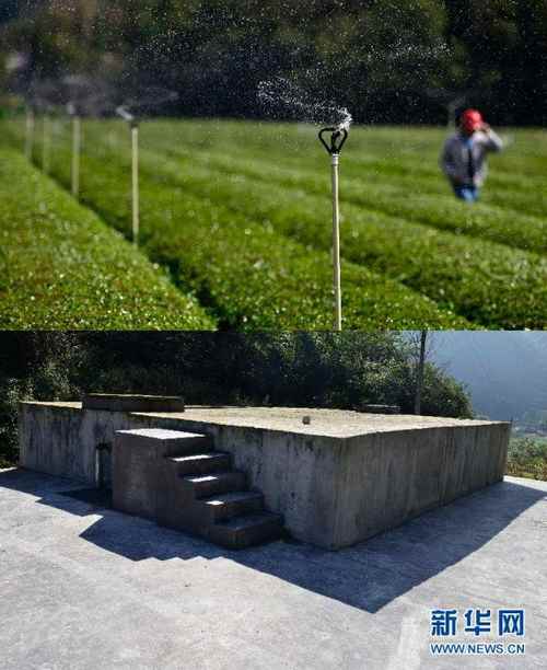 这张拼版照片显示的是:10月21日,湖北省鹤峰县太平镇龙潭村长新畜牧发展有限公司的工人张凤舞在查看发酵罐(上图);10月21日,长新畜牧发展有限公司的工人张凤舞在用沼气发电(下图)。