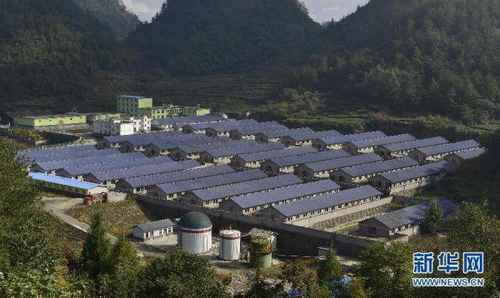 新华网:湖北恩施发展“猪—沼—茶”生态循环农业