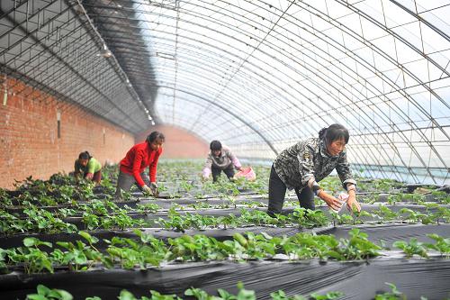 1024գɽɫֲ߲أũڴڹܻݮ