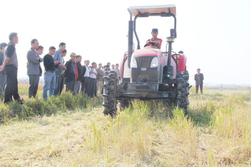 秸秆粉碎还田现场演示