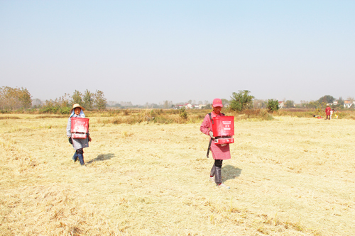 撒施肥料和种子现场演示