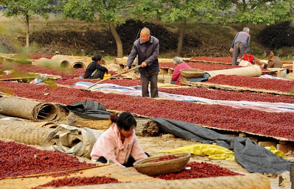 �ӱ���ͷ��������ϲ����