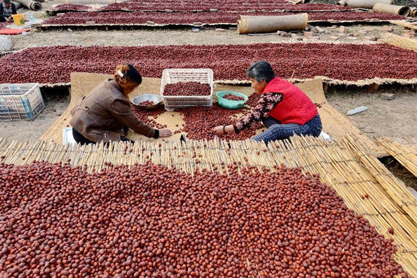 �ӱ���ͷ����������������������С�档