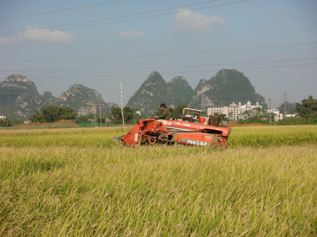 ����ƽ�����������ϲ����