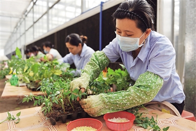 ���ϣ�����ϲ��繩Ӧ����ũ��