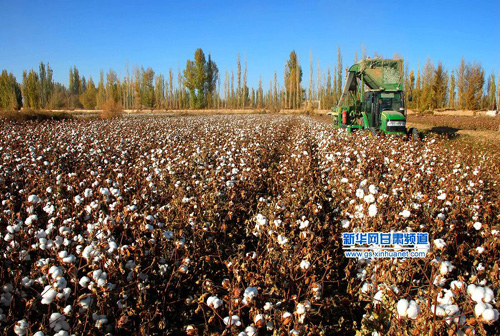 1027գũʻ޻ڸʡػ޻