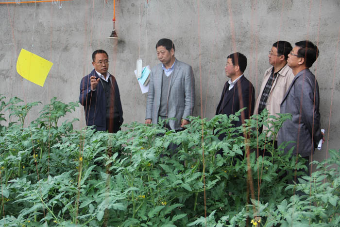 ˮũҵֵеǰũҵص㹤