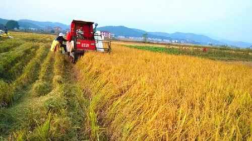 ºþÄϲèÁê25ÃûÖÖÁ¸×¨Òµ»§Éý¼¶¡°¼Òͥũ³¡¡±