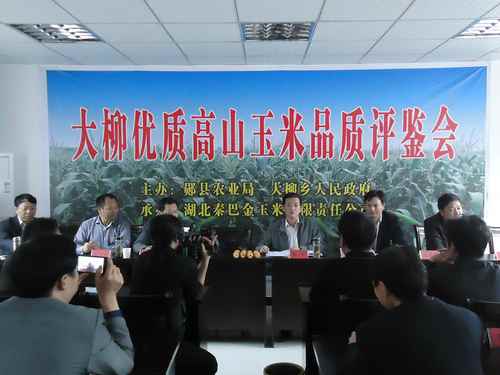 湖北郧县:优质高山玉米品质评鉴会成功举办