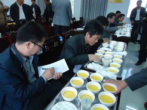 湖北郧县:优质高山玉米品质评鉴会成功举办3